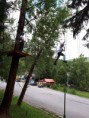 /album/fotogaleria-fotogaleria-gymnasticky-tabor-2019/a20190717-093410-jpg/