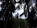 /album/fotogaleria-fotogaleria-gymnasticky-tabor-2019/a20190717-093439-jpg/