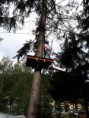/album/fotogaleria-fotogaleria-gymnasticky-tabor-2019/a20190717-093640-jpg/