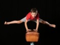 /album/fotogaleria-gymnasticky-tabor-2022/gy-36-jpg/